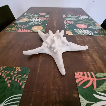 Luna Gruia * Κλουζ-Ναπόκα