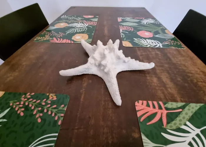 Luna Gruia * Κλουζ-Ναπόκα